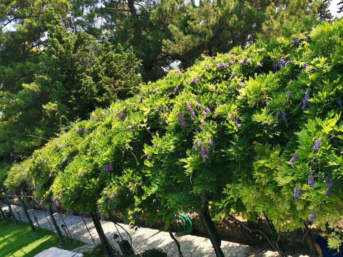 Bloom Box Apartments Craiova Bagian luar foto
