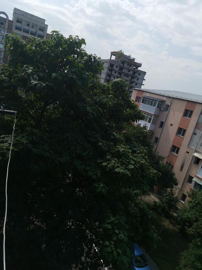 Bloom Box Apartments Craiova Bagian luar foto