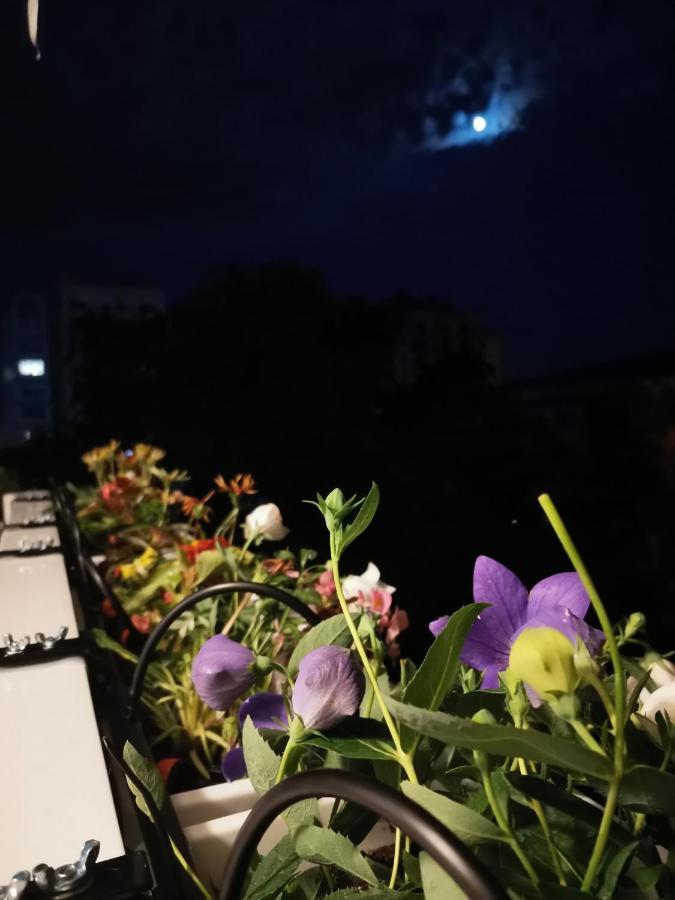 Bloom Box Apartments Craiova Bagian luar foto