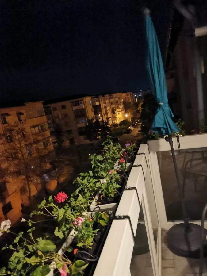 Bloom Box Apartments Craiova Bagian luar foto
